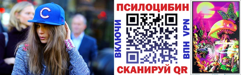 Псилоцибиновые грибы MAGIC MUSHROOMS Губаха