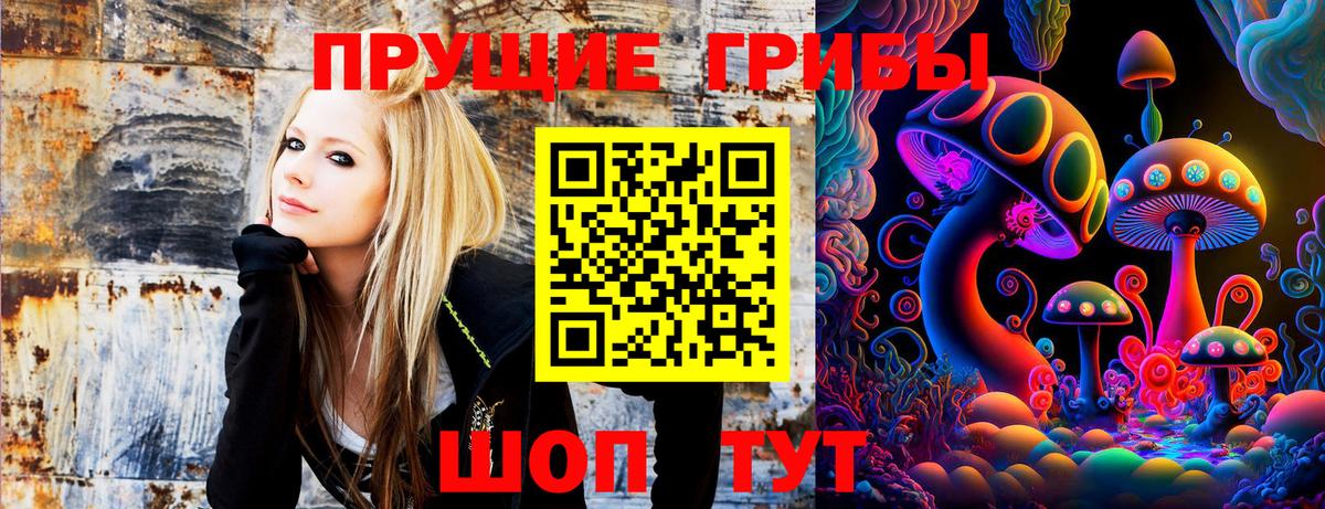 Псилоцибиновые грибы MAGIC MUSHROOMS Губаха
