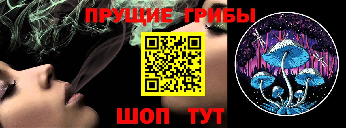 Губаха  Галлюциногенные грибы Magic Shrooms  Вход с VPN 